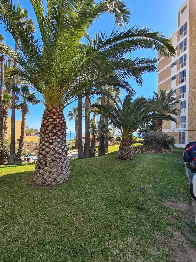 Room In Apartment - 1St Line Top Floor Apartment Carrer del Mar 외부 사진